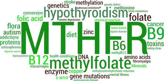 MTHFR And Your Health