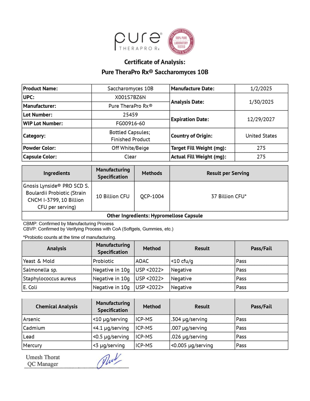 Saccharomyces 10B