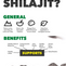 MicroActive CoQ10 with MicroPQQ + Shilajit