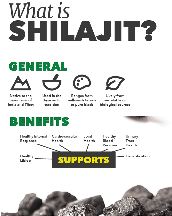 MicroActive CoQ10 with MicroPQQ + Shilajit