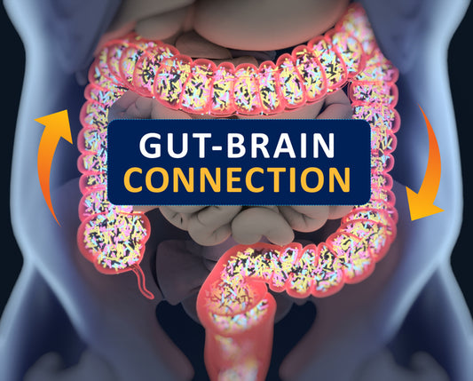 leaky gut supplements to fix leaky gut based on the gut brain connection