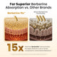 Berberine 15x™