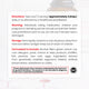 BioActive B12 Full-Spectrum