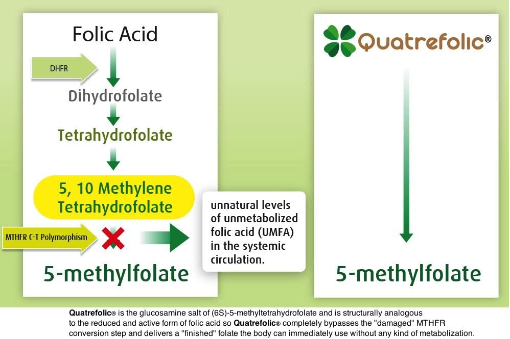 Methyl B Complete™
